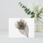 Pfauenfeder Postkarte (Stehend Vorderseite)