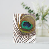 Pfauenfeder Postkarte (Stehend Vorderseite)