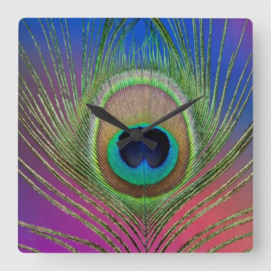 Pfauenfeder Quadratische Wanduhr (Vorderseite)
