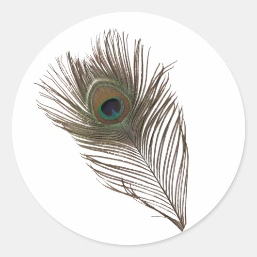 Pfauenfeder Runder Aufkleber (Vorderseite)