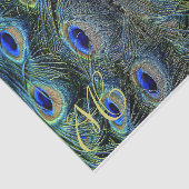 Pfauenfeder Seidenpapier (Ausschnitt)
