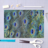 Pfauenfeder Seidenpapier (Handwerk)