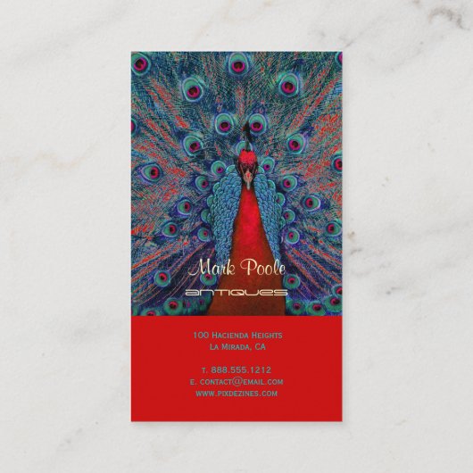 Pfauenfeder Visitenkarte (Rückseite)