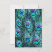 Pfauenfederdrama Hochzeitseinladung - UAWG RSVP Karte (Rückseite)