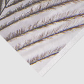 Pfauenfederhalter 3 Dekoupage Tissue Paper Seidenpapier (Ausschnitt)