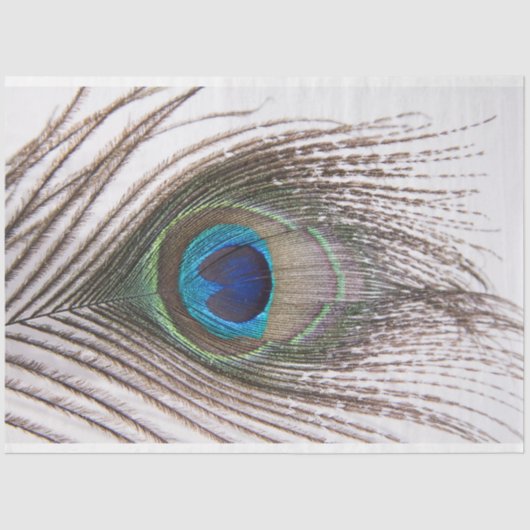 Pfauenfederhalter 3 Dekoupage Tissue Paper Seidenpapier (Vorderseite)