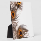 Pfauenfederhalter Fotoplatte (Seite)