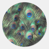 Pfauenfederhalter Runder Aufkleber (Vorderseite)