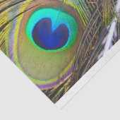 PfauenFedern 1 Dekoupage Tissue Seidenpapier (Ausschnitt)