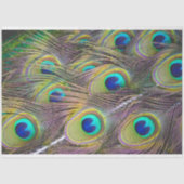 PfauenFedern 1 Dekoupage Tissue Seidenpapier (Vorderseite)