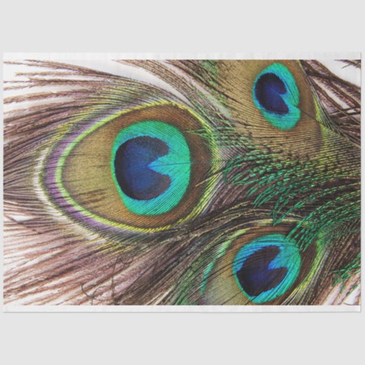 PfauenFedern 2 Dekoupage Tissue Paper Seidenpapier (Vorderseite)