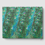 Pfauenfedern, abstrakt - modern gästebuch (Rückseite)