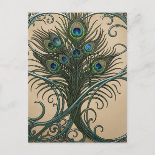 Pfauenfedern Art Nouveau Verzierte Türkisrahmen Postkarte
