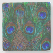 Pfauenfedern Etching Style Steinuntersetzer (Vorderseite)