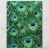 Pfauenfedern für Makeup & Hair Salon Flyer (Hinten)