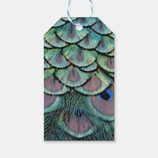 Pfauenfedern Geschenkanhänger (Vorderseite)