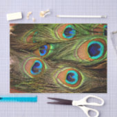 Pfauenfedern - Gewebepapier Seidenpapier (Handwerk)