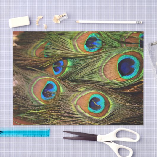 Pfauenfedern - Gewebepapier Seidenpapier (Handwerk)