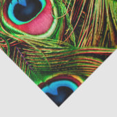 Pfauenfedern-Gewebepapier Seidenpapier (Detail)