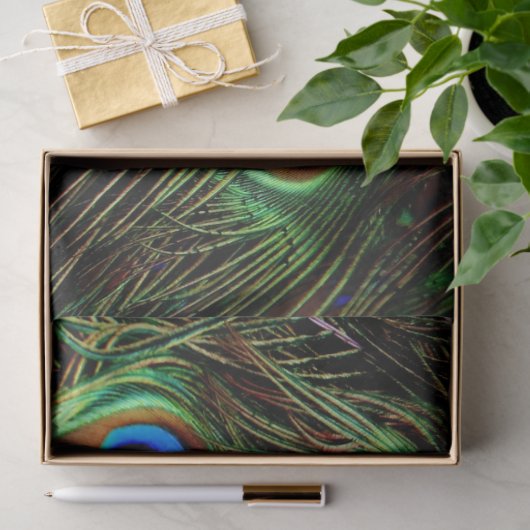 PfauenFedern Hintergrundpapier zum Entwerfen des T Seidenpapier (Geschenk)