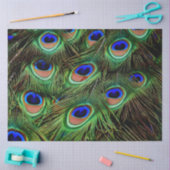 PfauenFedern Hintergrundpapier zum Entwerfen des T Seidenpapier (Basteln)