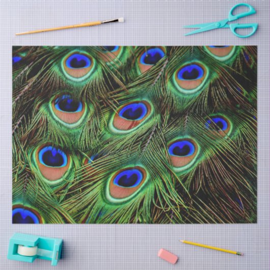 PfauenFedern Hintergrundpapier zum Entwerfen des T Seidenpapier (Basteln)