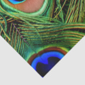 PfauenFedern Hintergrundpapier zum Entwerfen des T Seidenpapier (Ausschnitt)