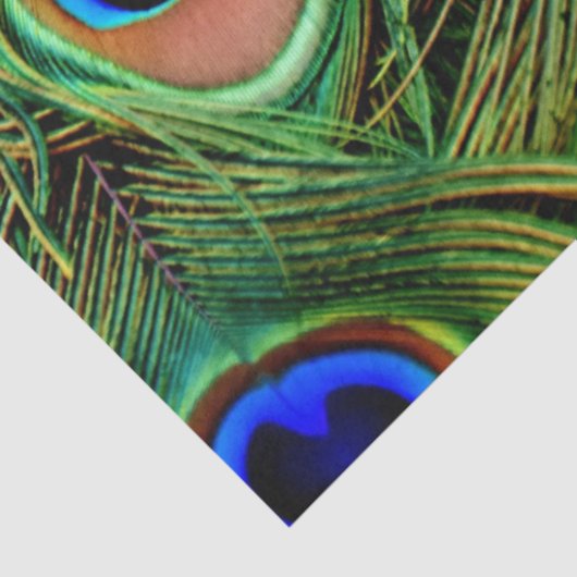 PfauenFedern Hintergrundpapier zum Entwerfen des T Seidenpapier (Ausschnitt)