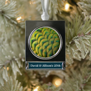 Pfauenfedern II Farbige Natur Banner-Ornament Silber