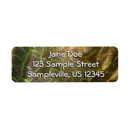 PfauenFedern III (Weiblich) Subtile Natur (Vorne)