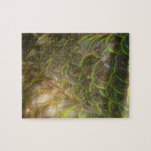 PfauenFedern III (Weiblich) Subtile Natur Puzzle (Horizontal)