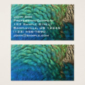 PfauenFedern in farbenprächtiger Abstrakter Natur (Vorne & Hinten)