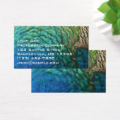 PfauenFedern in farbenprächtiger Abstrakter Natur (Schreibtisch)