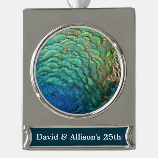 PfauenFedern in farbenprächtiger Abstrakter Natur Banner-Ornament Silber (Vorderseite)