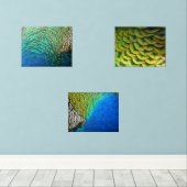 PfauenFedern in farbenprächtiger Abstrakter Natur Bilderwand Sets (Holzboden)