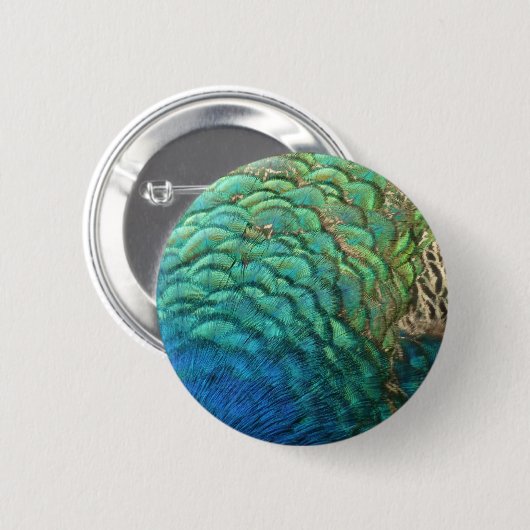 PfauenFedern in farbenprächtiger Abstrakter Natur Button (Vorne & Hinten)