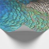 PfauenFedern in farbenprächtiger Abstrakter Natur Geschenkpapier (Ecke)