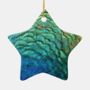 PfauenFedern in farbenprächtiger Abstrakter Natur Keramik Ornament