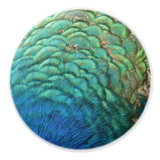 PfauenFedern in farbenprächtiger Abstrakter Natur Keramikknauf (Vorderseite)