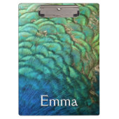 PfauenFedern in farbenprächtiger Abstrakter Natur Klemmbrett (Vorderseite)