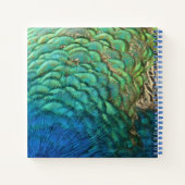 PfauenFedern in farbenprächtiger Abstrakter Natur Notizbuch (Rückseite)