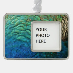 PfauenFedern in farbenprächtiger Abstrakter Natur Rahmen-Ornament Silber