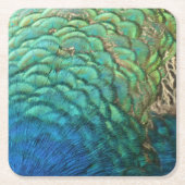 PfauenFedern in farbenprächtiger Abstrakter Natur Rechteckiger Pappuntersetzer (Vorderseite)