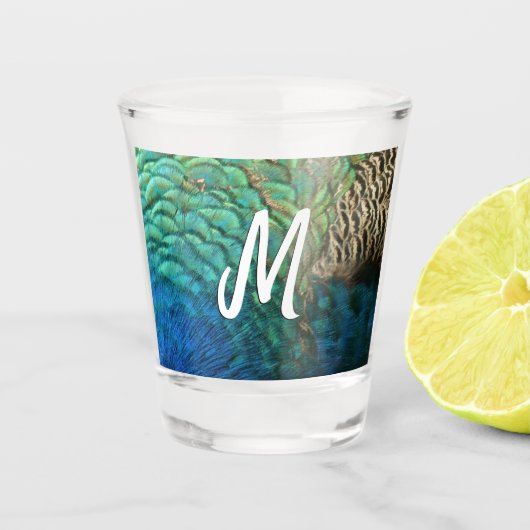 PfauenFedern in farbenprächtiger Abstrakter Natur Schnapsglas (Vorderseite)