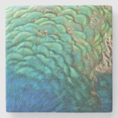 PfauenFedern in farbenprächtiger Abstrakter Natur Steinuntersetzer (Vorderseite)