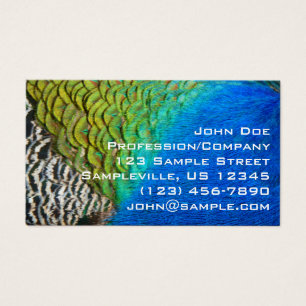 Pfauenfedern IV Farbenfrohe Abstrakte Natur