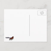 Pfauenfedern IV Farbenfrohe Abstrakte Natur Postkarte (Rückseite)