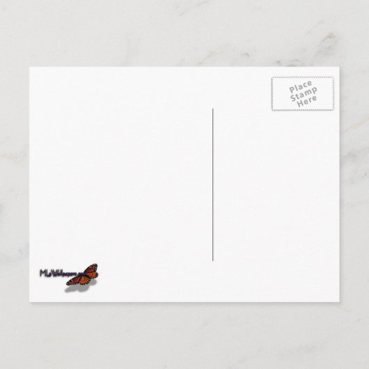 Pfauenfedern IV Farbenfrohe Abstrakte Natur Postkarte (Rückseite)