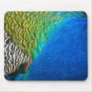 Pfauenfedern IV Farbige abstrakte Natur Mousepad