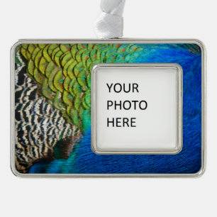 Pfauenfedern IV Farbige abstrakte Natur Rahmen-Ornament Silber